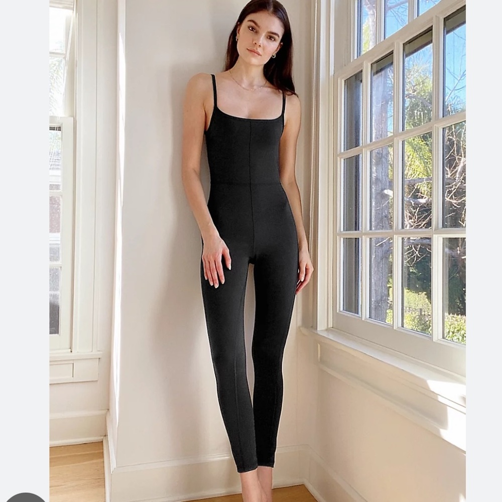 Aritzia Divinity Jumpsuit